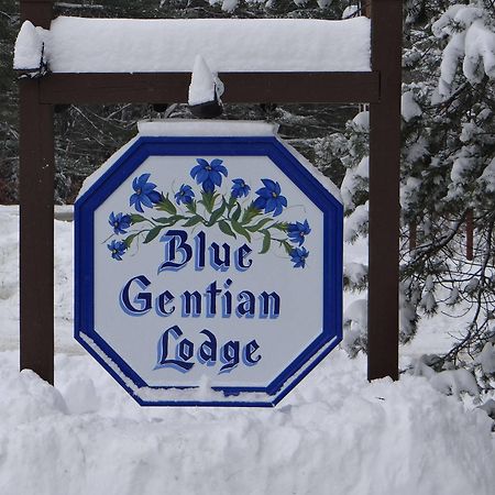 Blue Gentian Lodge At Magic Mountain Londonderry Экстерьер фото